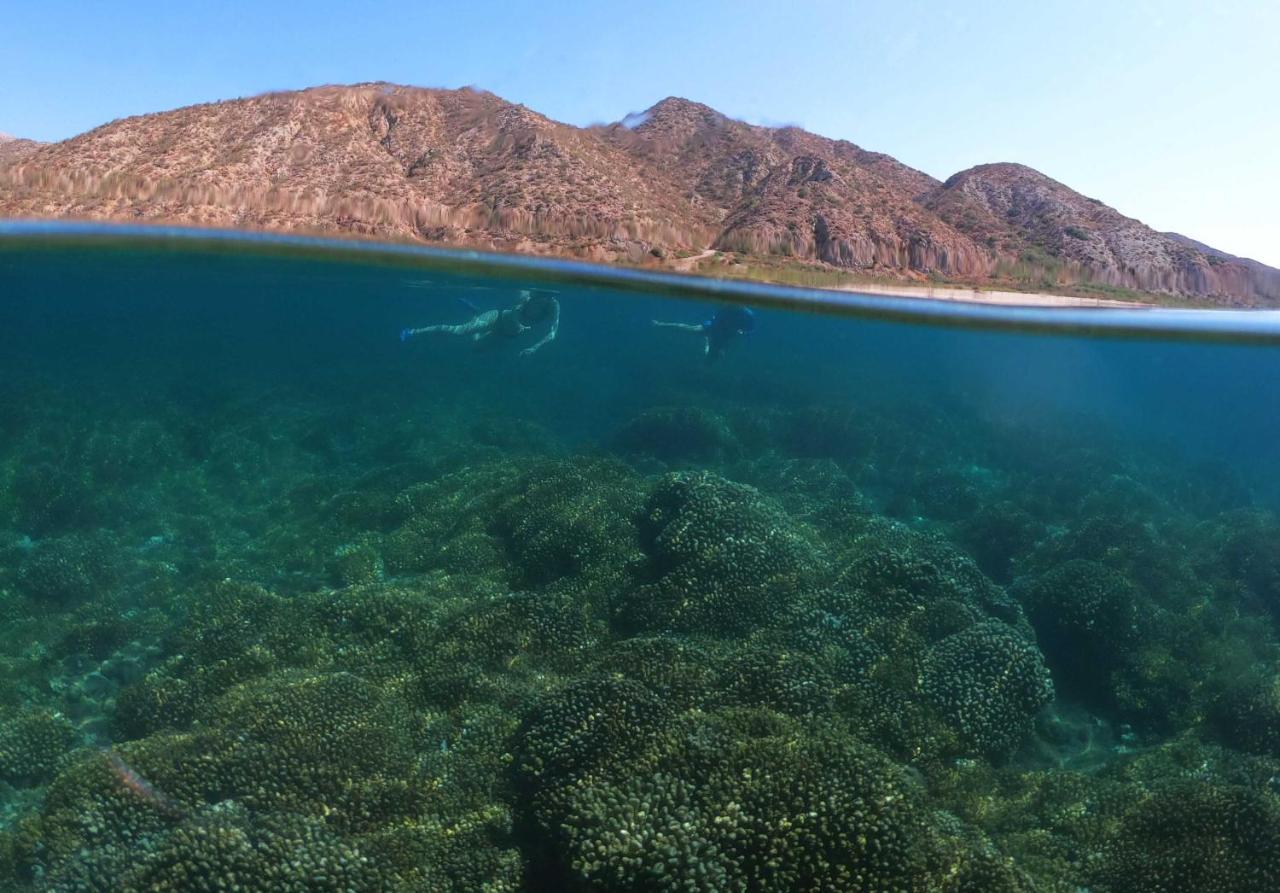 Nomada Hotel La Ventana Dış mekan fotoğraf